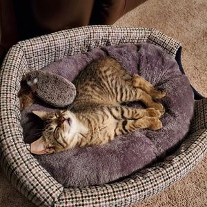 Meet your Posher, Angela